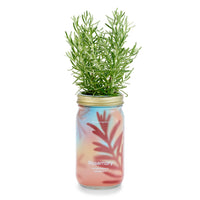 Herb Garden Jar