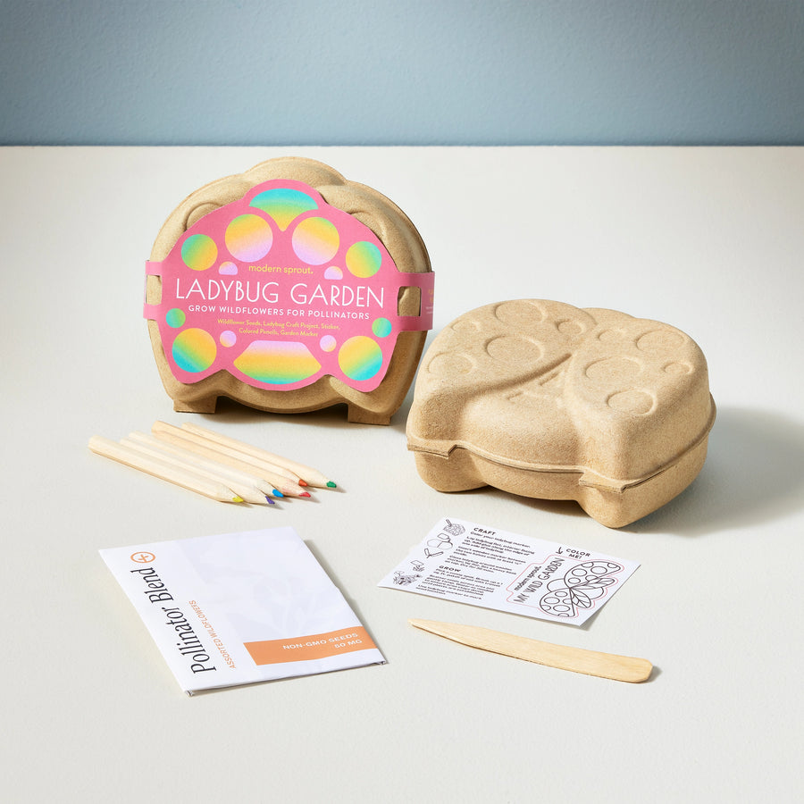 Curious Critters Pollinators Kit