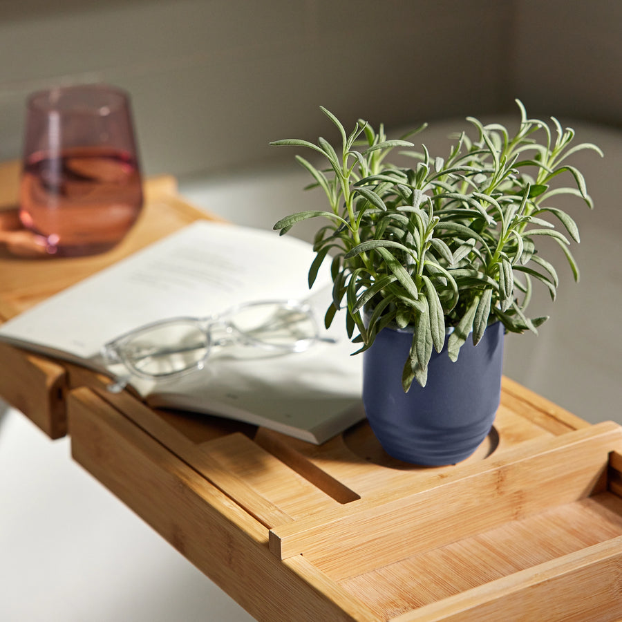 Violet Hour: Candle/Planter 2-in-1