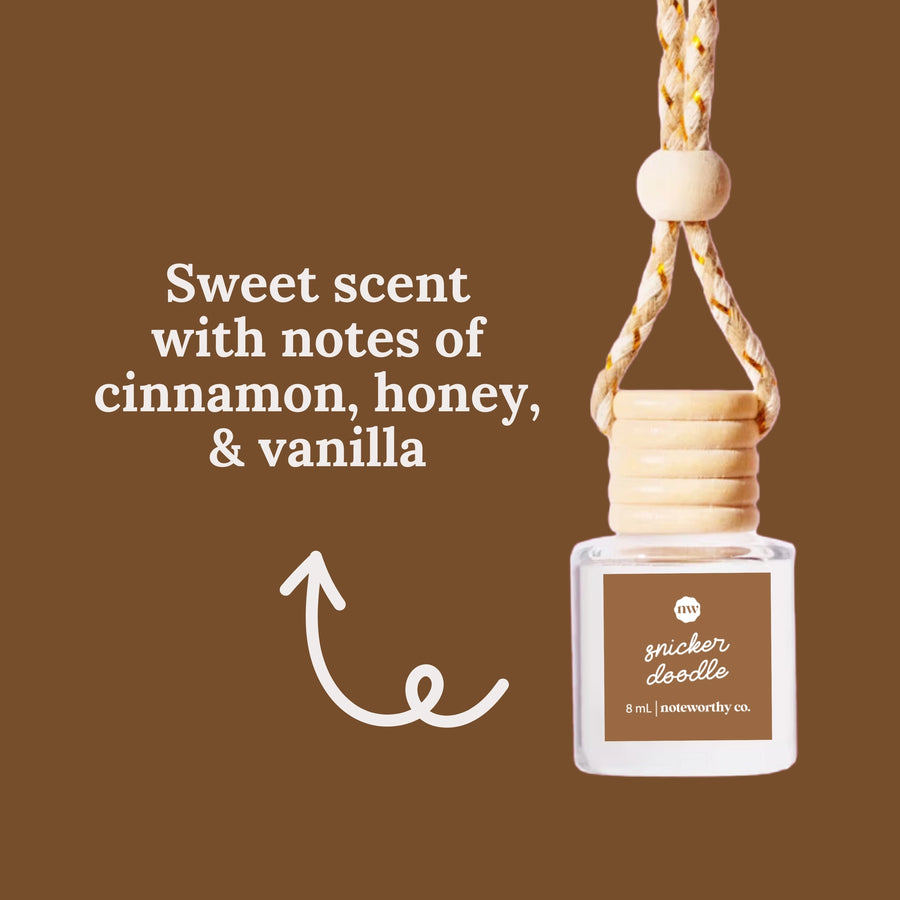 All Natural Car Diffusers: Winter & Christmas Scents