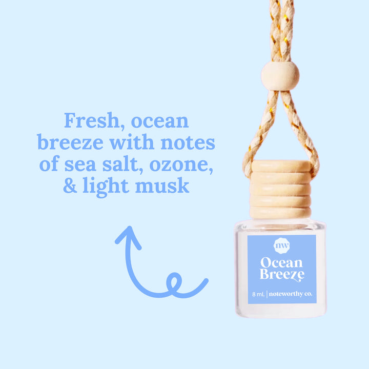 All Natural Car Diffusers