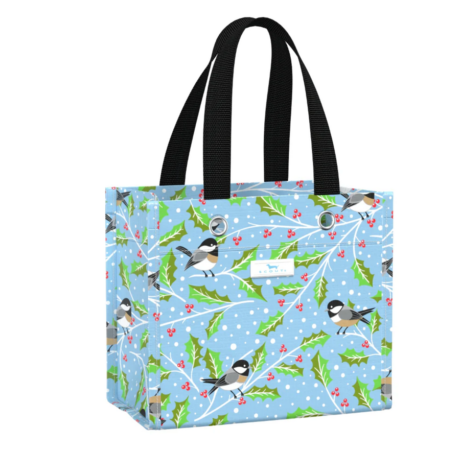 Scout - Six Packer - Hollyday Tweet