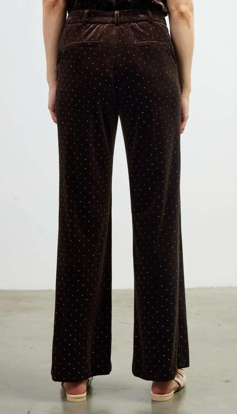 Velvet Rhinestone Pants