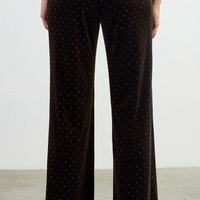 Velvet Rhinestone Pants