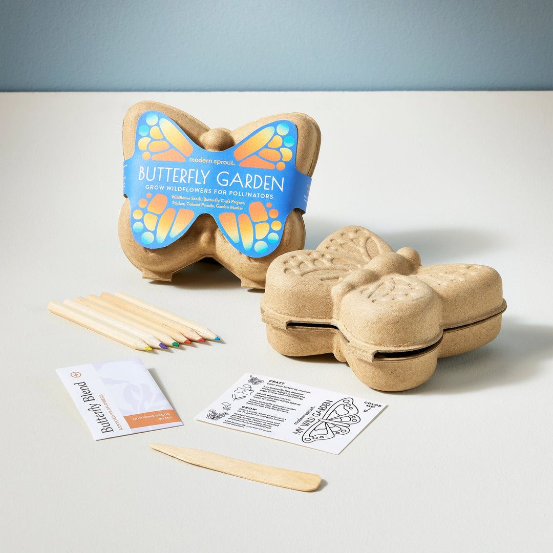 Curious Critters Pollinators Kit