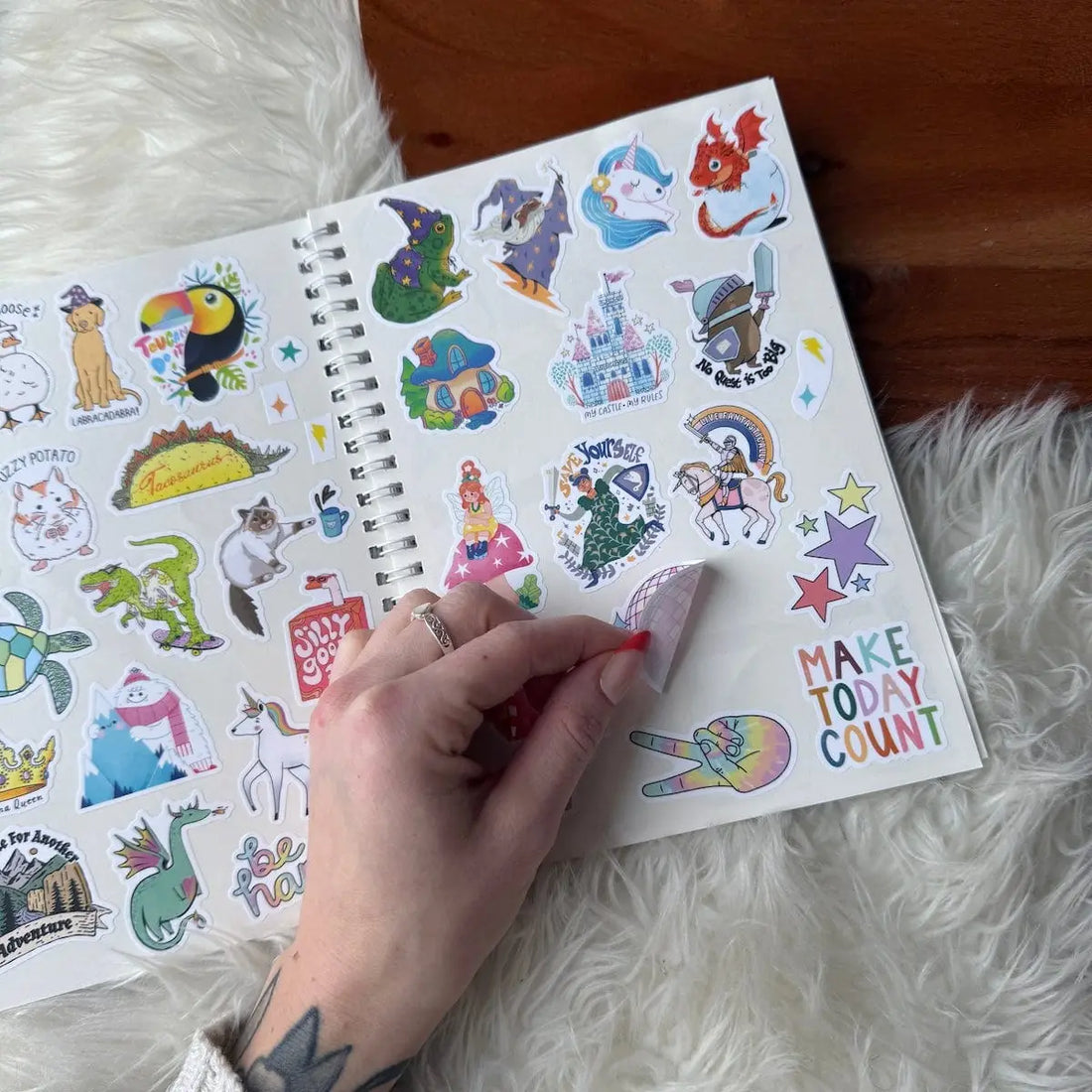 The Unused Sticker Book