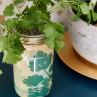 Herb Garden Jar