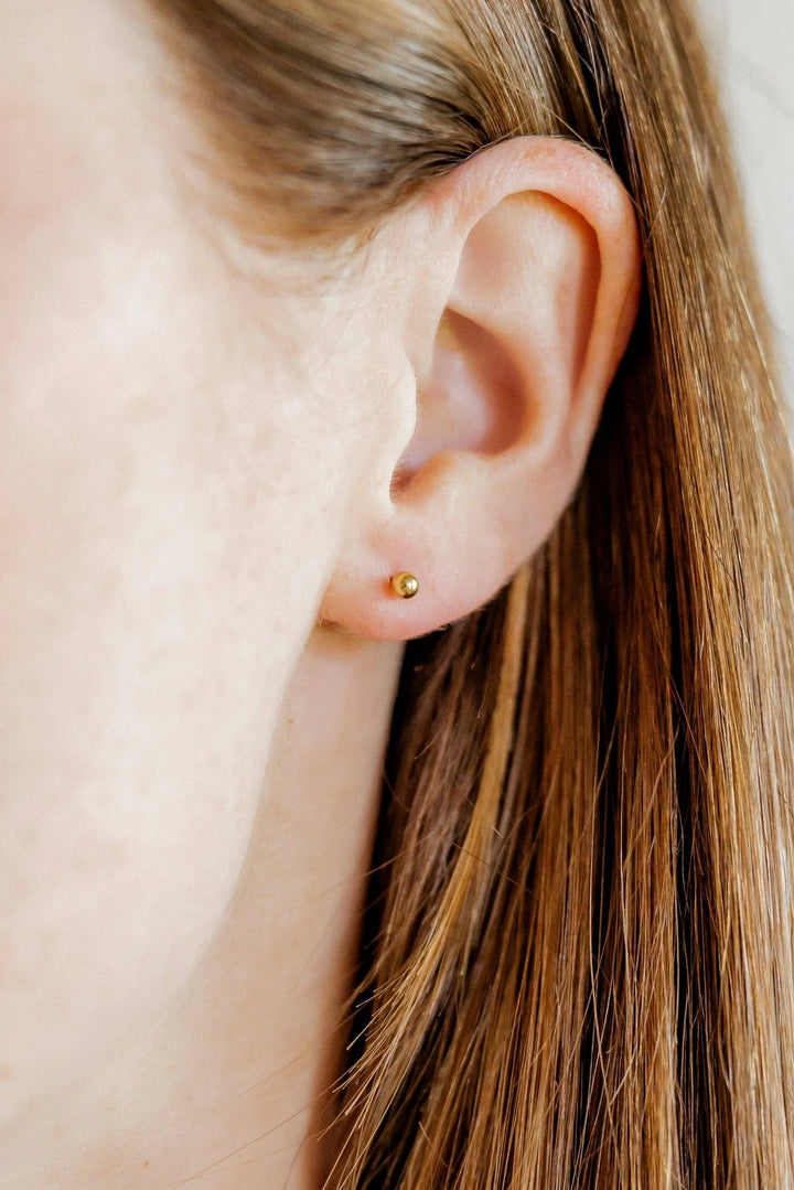 Linny Co - Micro Evelyn Gold Screwback Studs